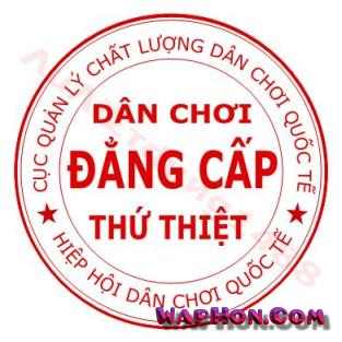 Hình Nền Con Dấu Vip