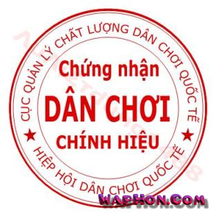 Hình Nền Con Dấu Vip